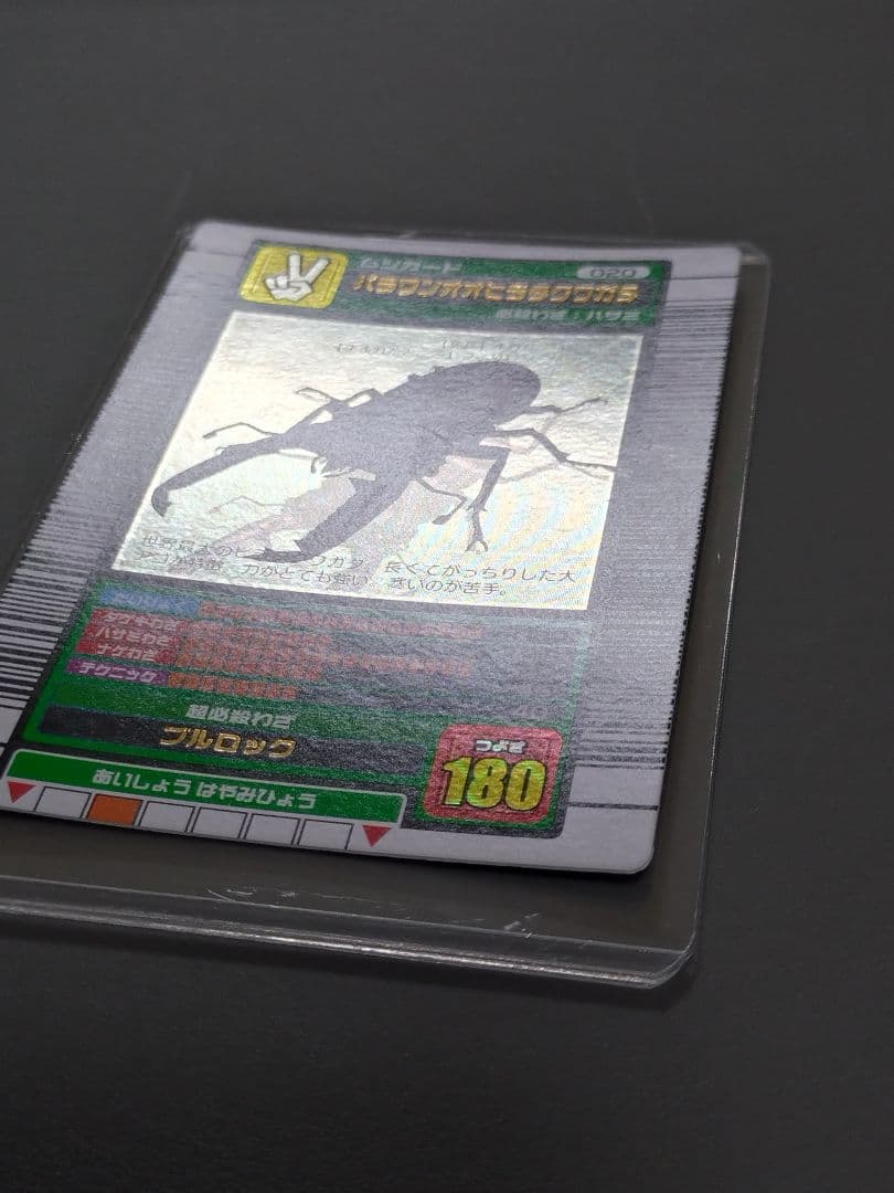 020パラワンオオヒラタクワガタ 2003夏 美品