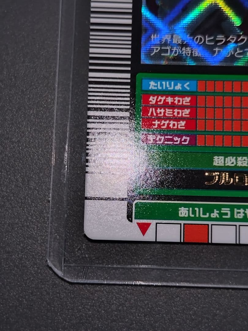 020パラワンオオヒラタクワガタ 2003夏 美品