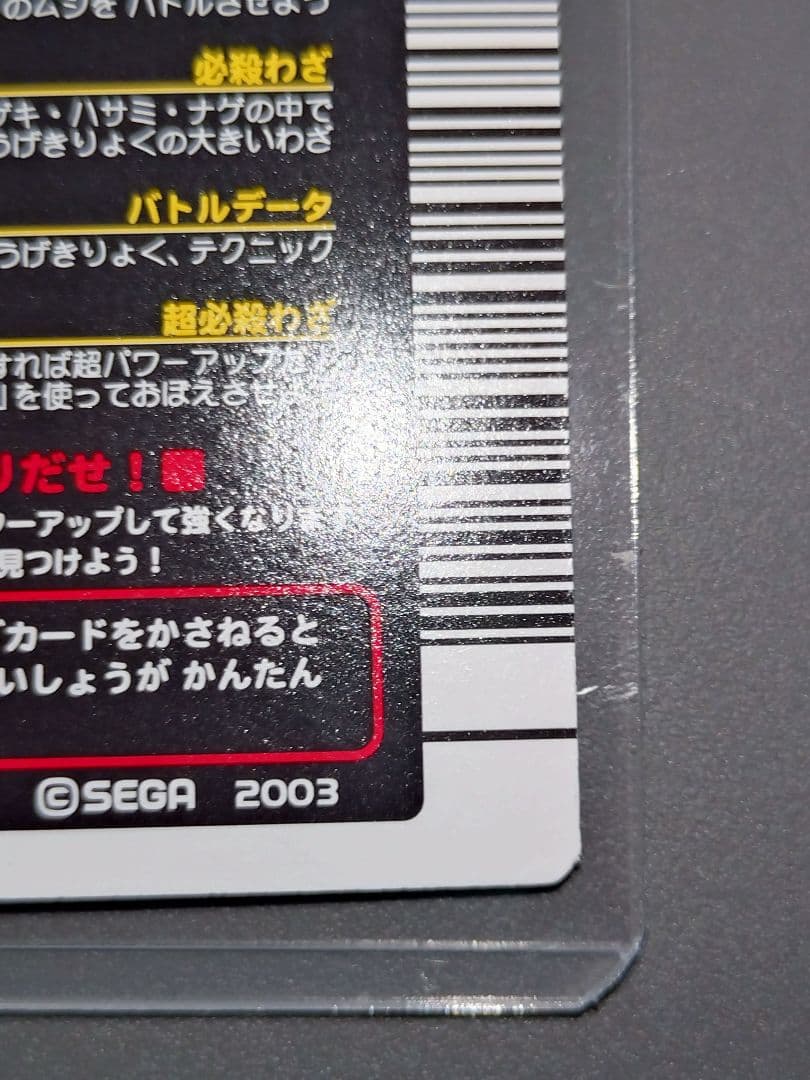020パラワンオオヒラタクワガタ 2003夏 美品