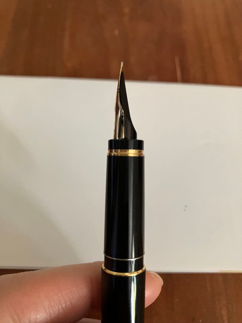 PILOT エラボー　SB ペン芯漆塗り