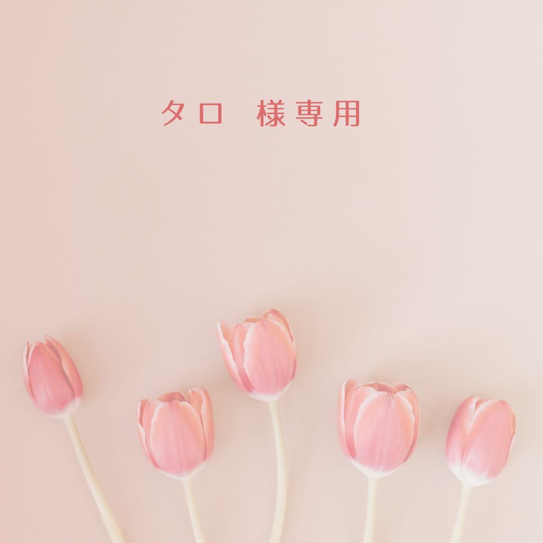タロ