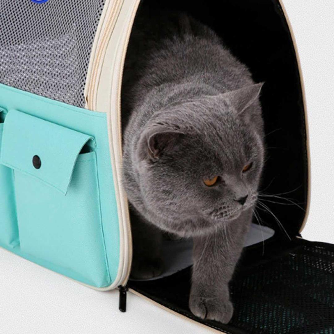 ペットキャリーバッグ 猫用 犬用 リュック メッシュ窓 外出　通院　お出掛け