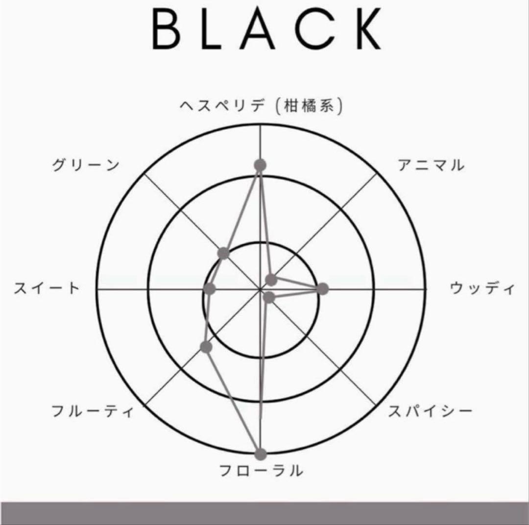SHOLAYERED 1945 BLACK 新品未開封
