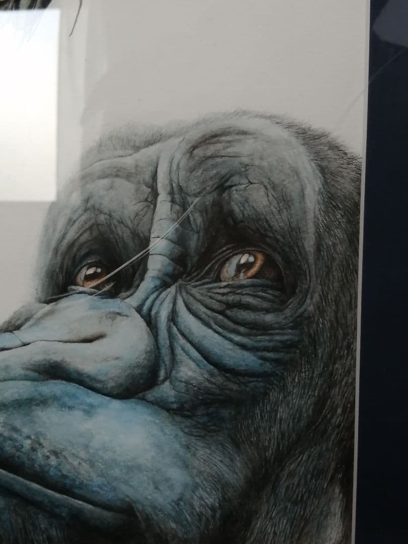 絵画 A. Fiocon ゴリラと蝶の絵画 額絵 画家 アトリエ ヤマダ 本物
