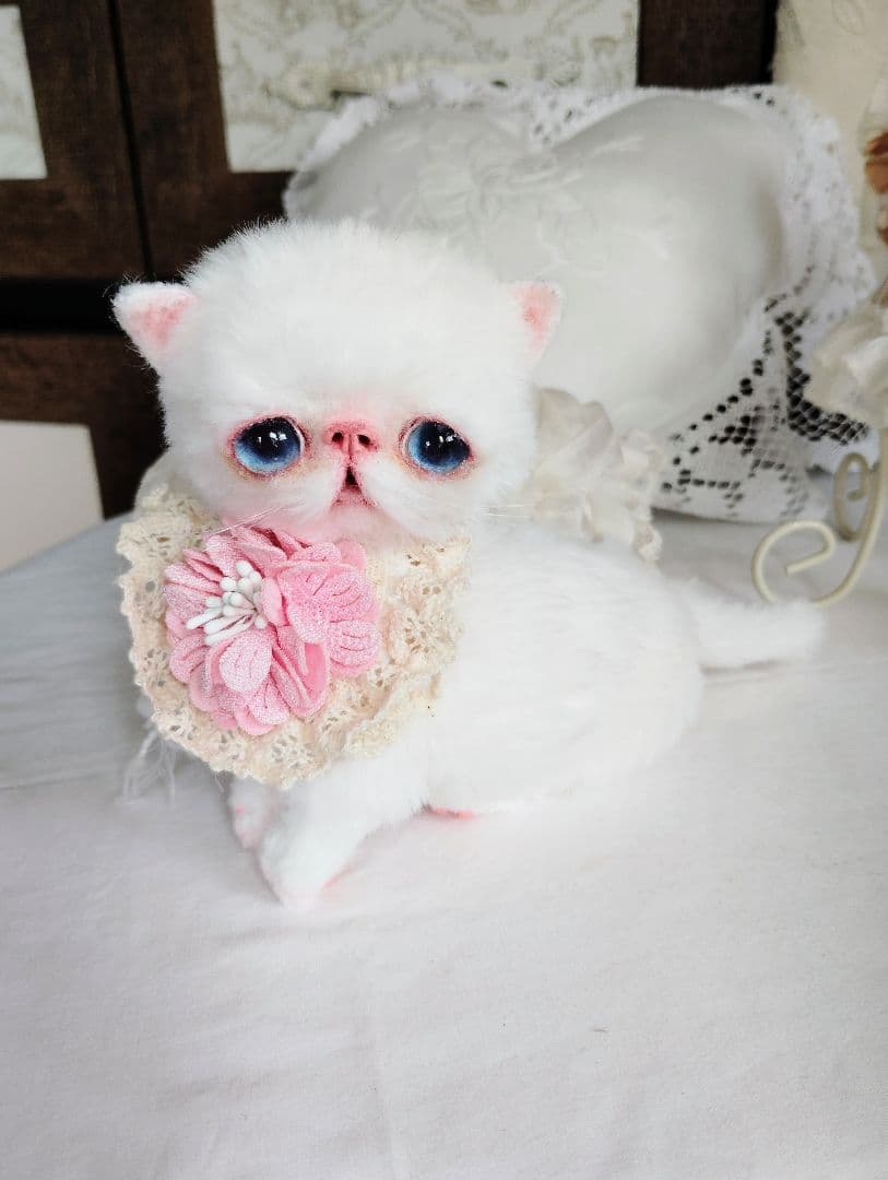うるるんオメメ♡エキゾチック子猫ちゃん♡アートドール♡ぬいぐるみ♡