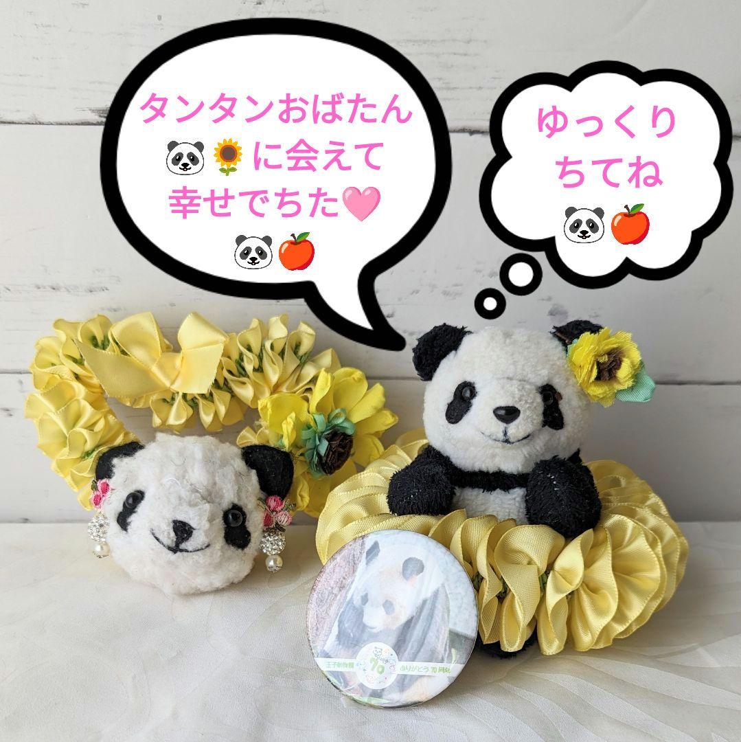 【展示のみ】素敵可愛い神戸のお嬢様♡ひまわりタンタン♡