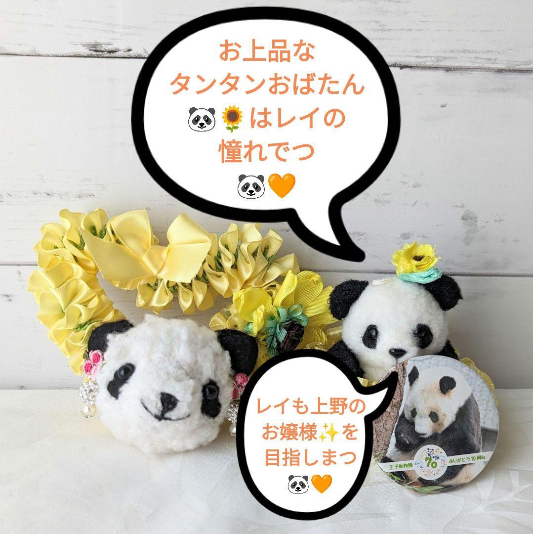 【展示のみ】素敵可愛い神戸のお嬢様♡ひまわりタンタン♡