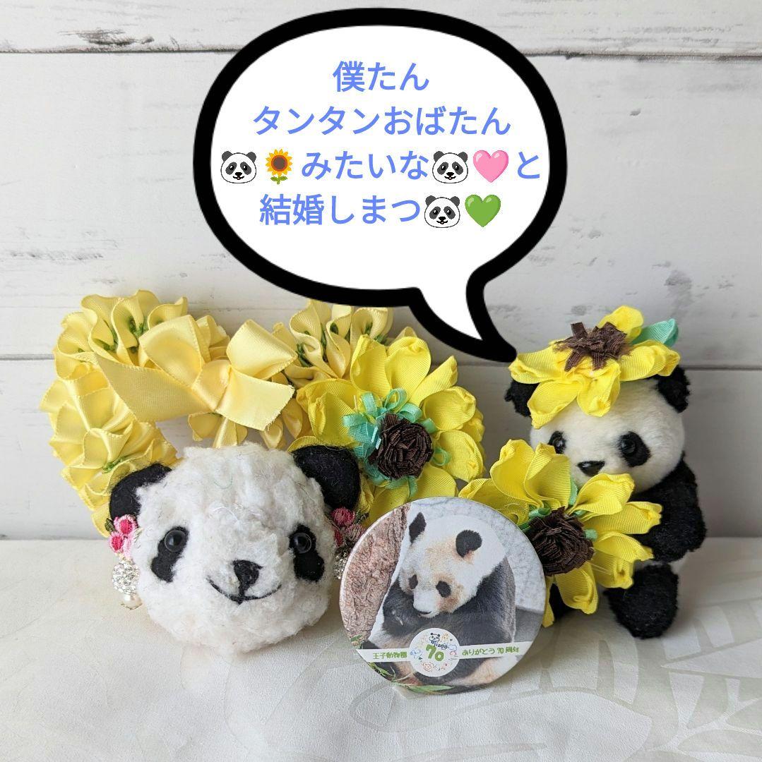 【展示のみ】素敵可愛い神戸のお嬢様♡ひまわりタンタン♡