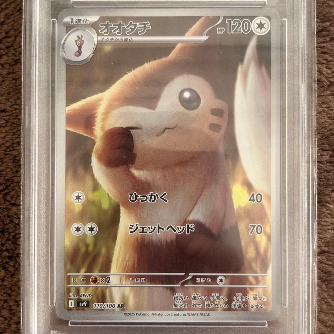 専用【PSA10】オオタチ AR ポケモンカード 鑑定品