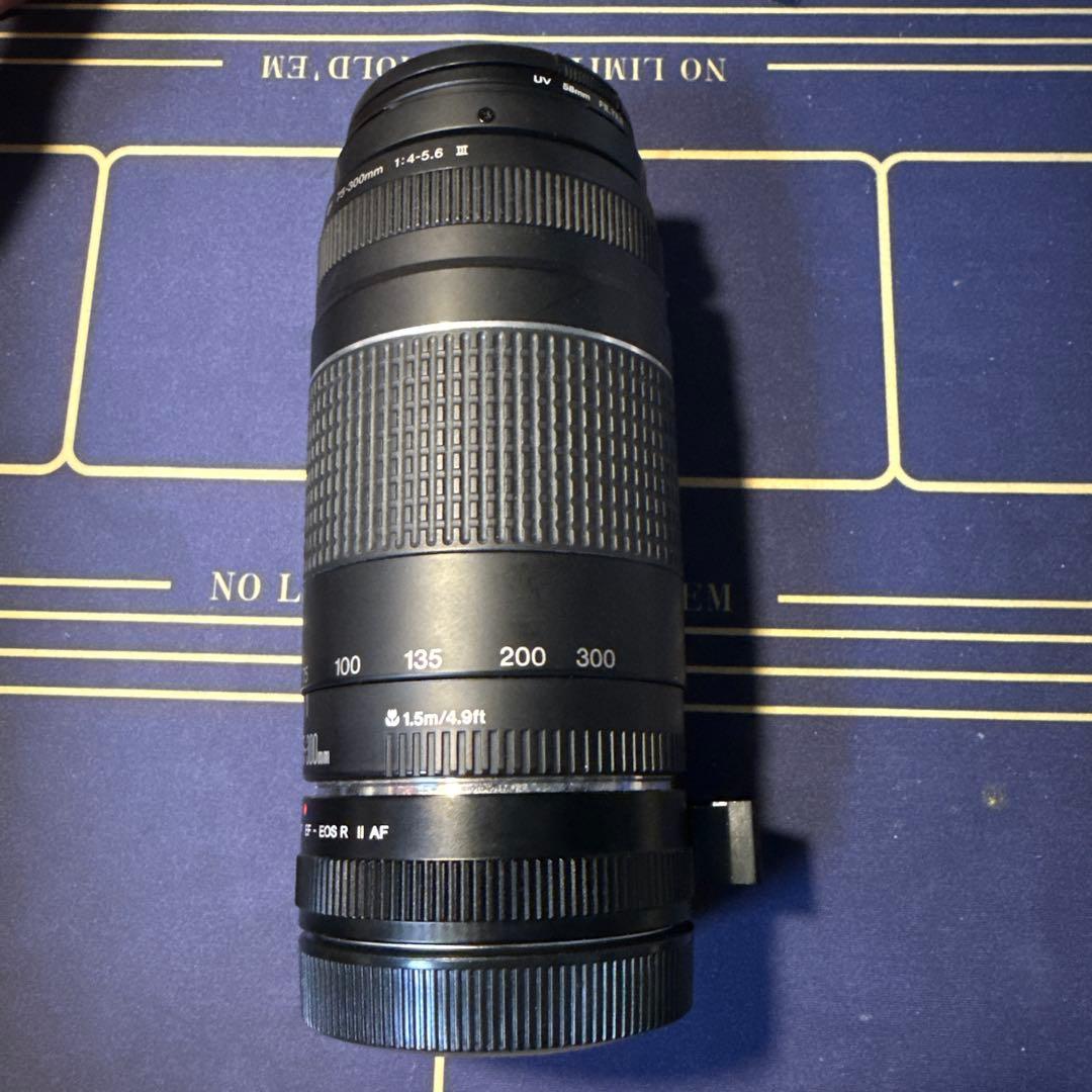 Canon 75-300mm ズームレンズ