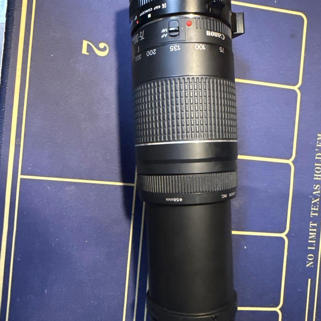 Canon 75-300mm ズームレンズ