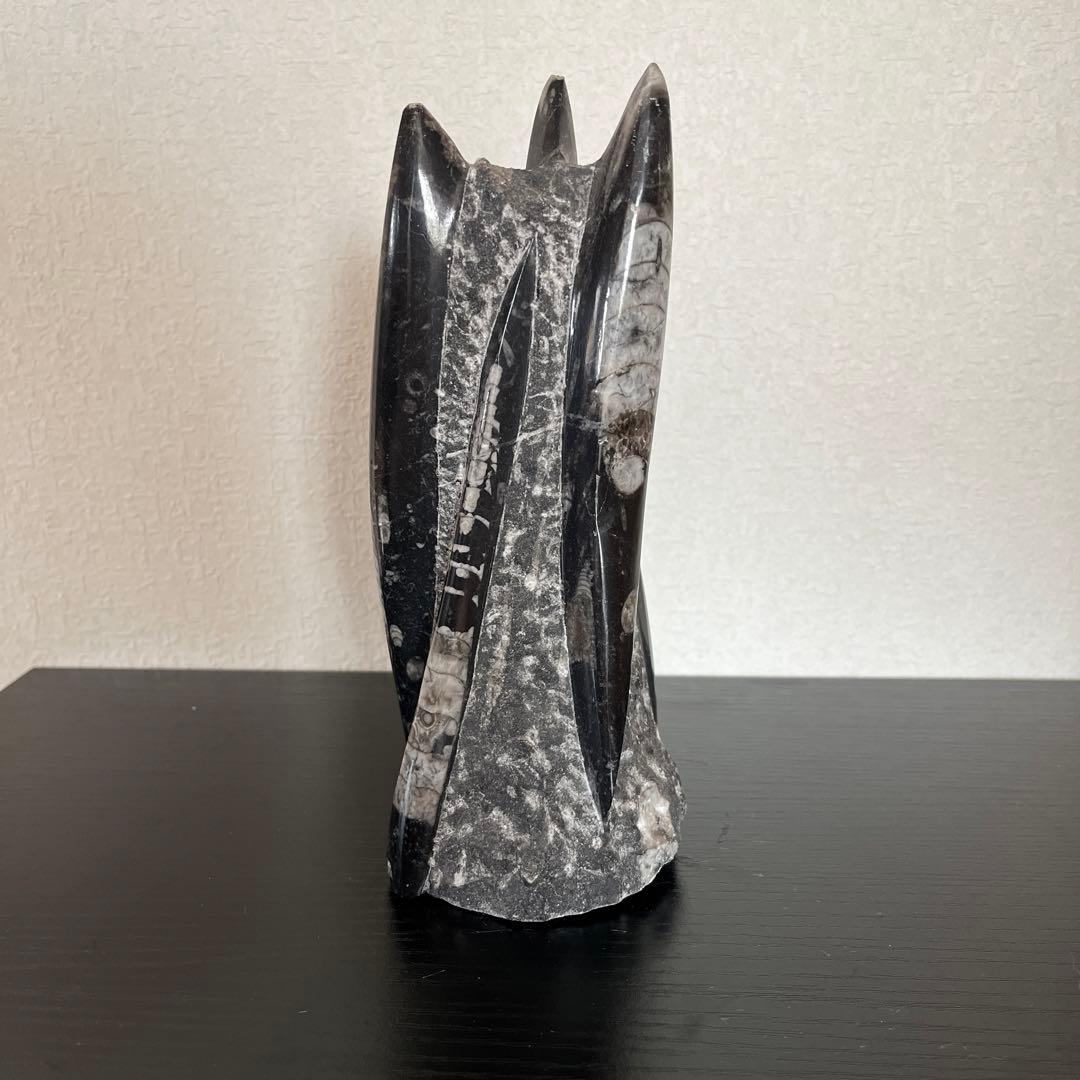 鉱物　オルソセラス化石 直角石 1kg ペーパーウェイト
