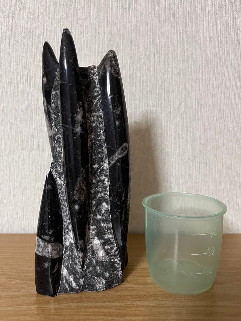 鉱物　オルソセラス化石 直角石 1kg ペーパーウェイト