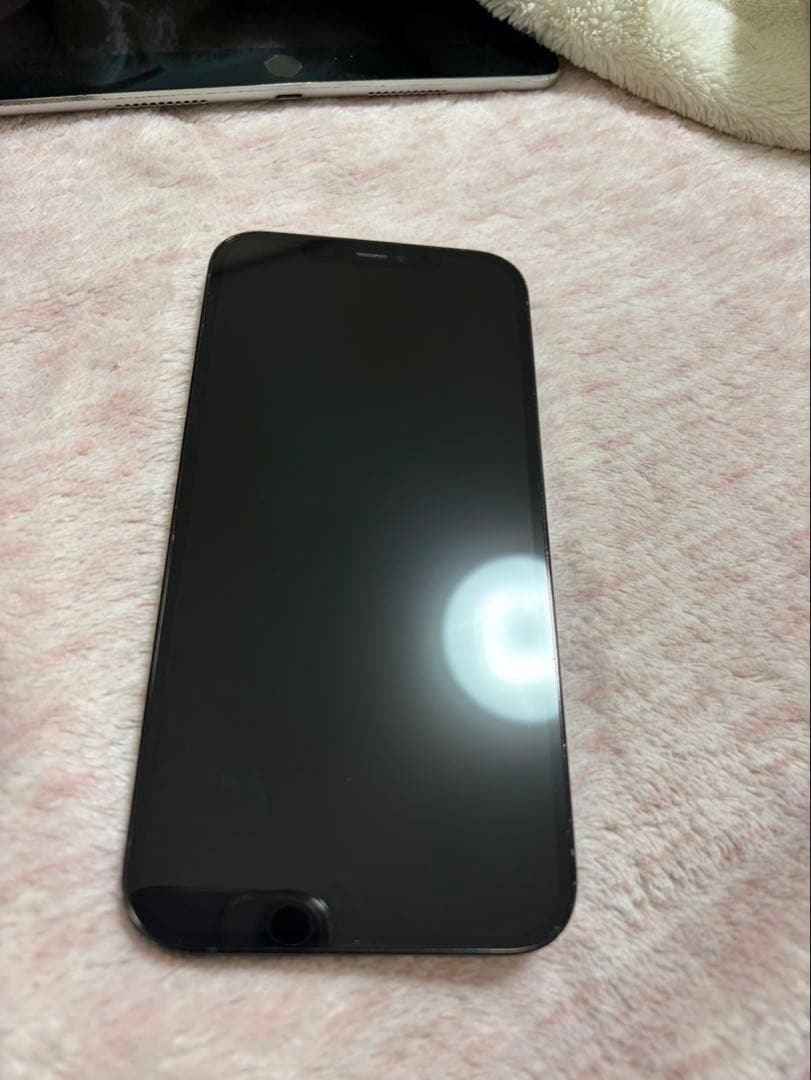 Apple iPhone12ProMax ジャンク品 値下げ交渉可能