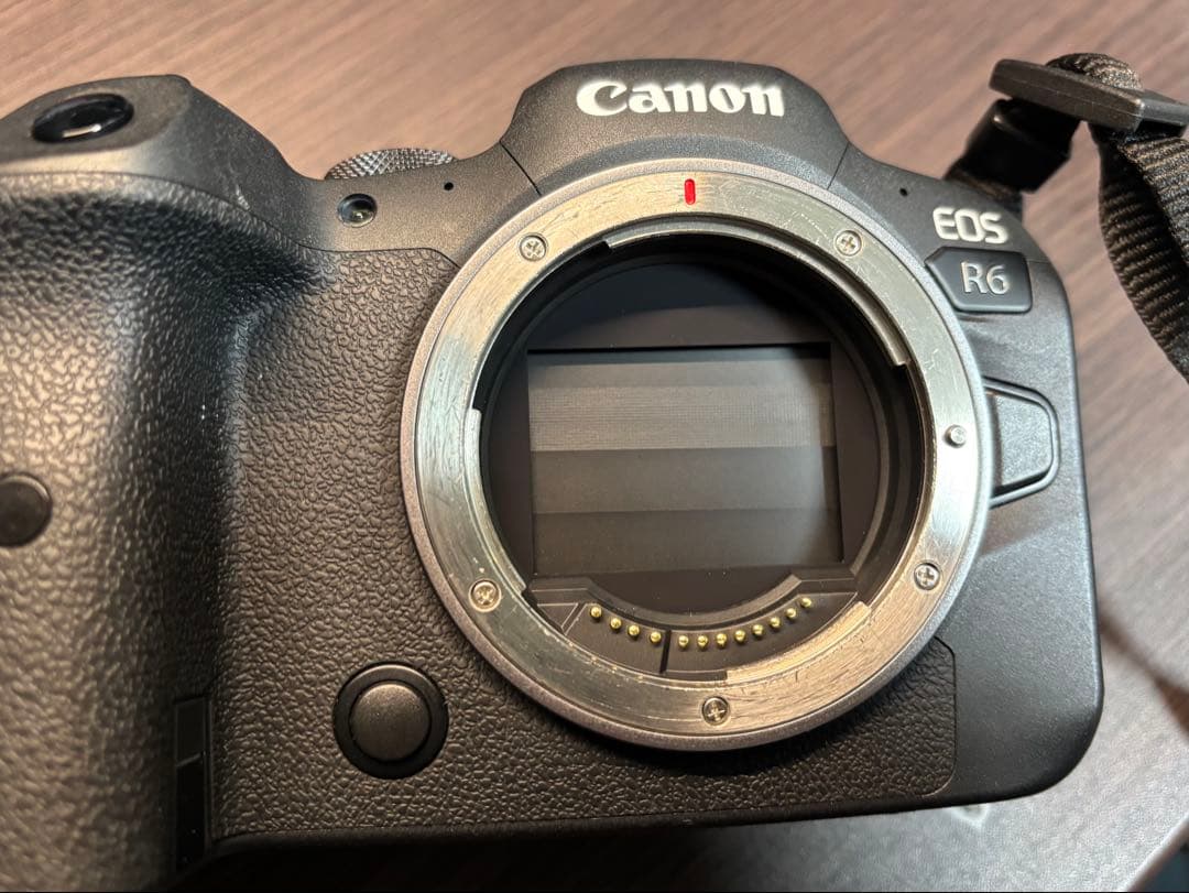 Canon EOS R6 RF 24-105mm IS STM キットレンズ