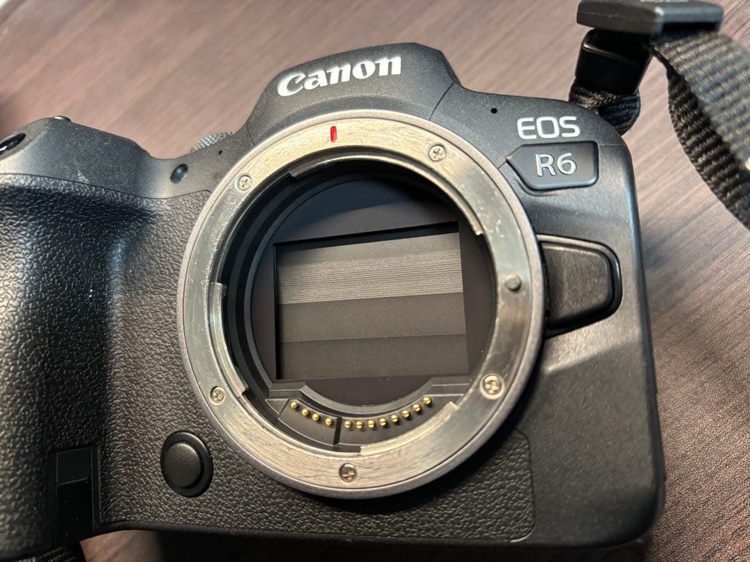 Canon EOS R6 RF 24-105mm IS STM キットレンズ