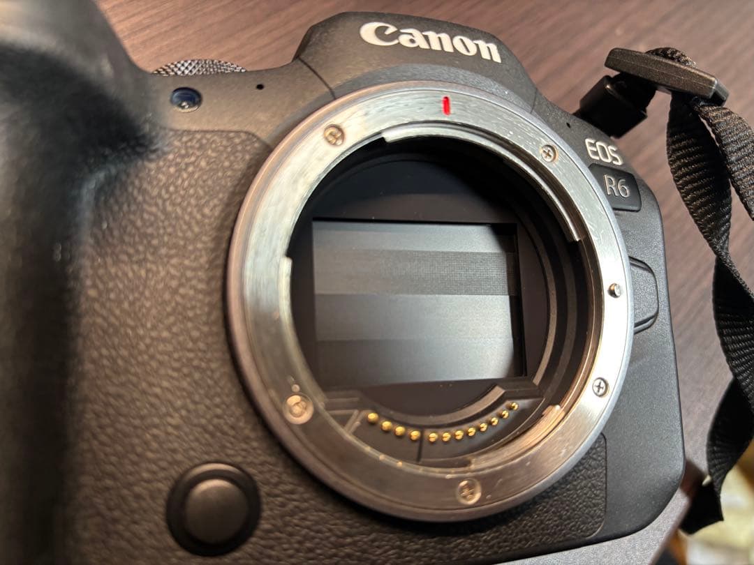 Canon EOS R6 RF 24-105mm IS STM キットレンズ