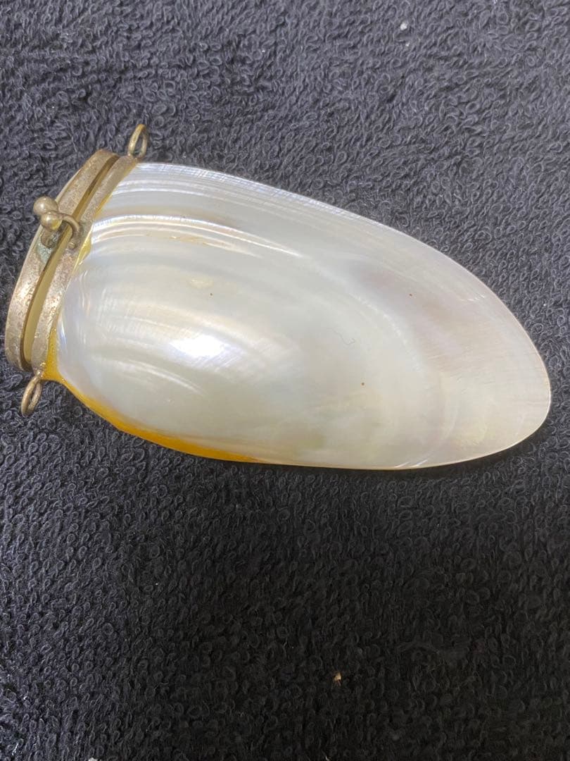 真珠貝の宝石
