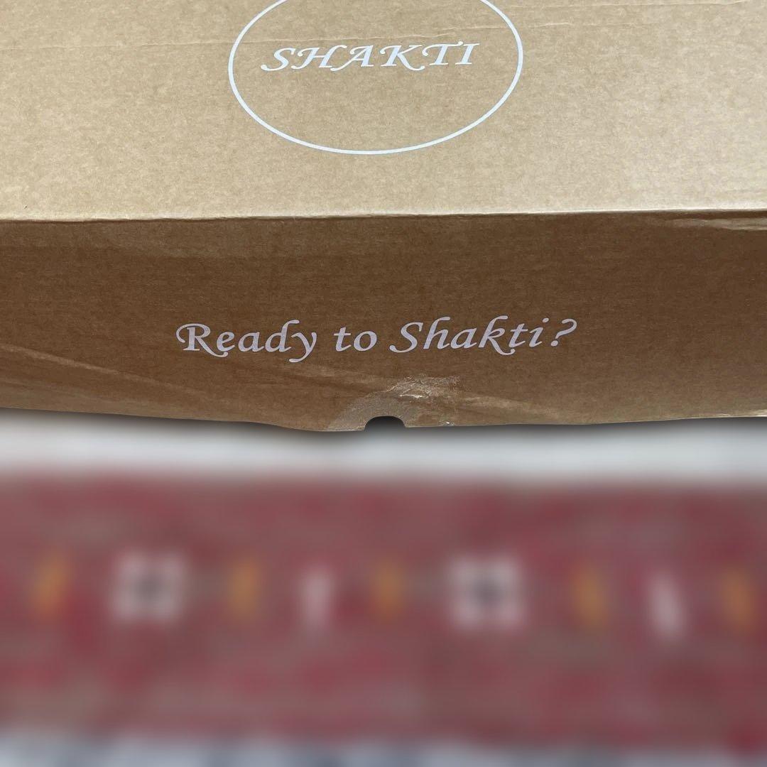 専用　 Shakti シャクティー　枕　正規品