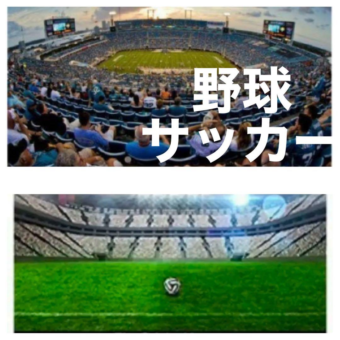即購入OK！大人気！CANON 一眼レフ用　ズームレンズ！望遠レンズ！袋付き