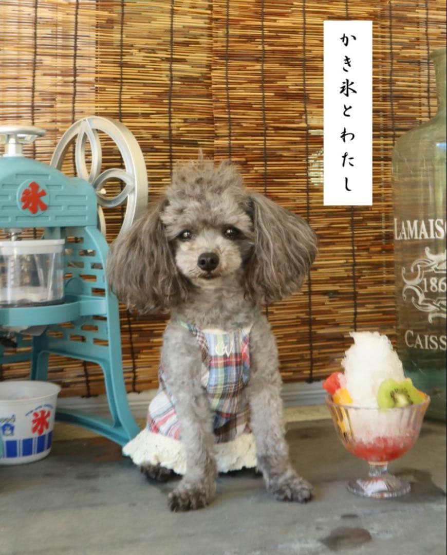 アトリエgg かき氷とわたし16