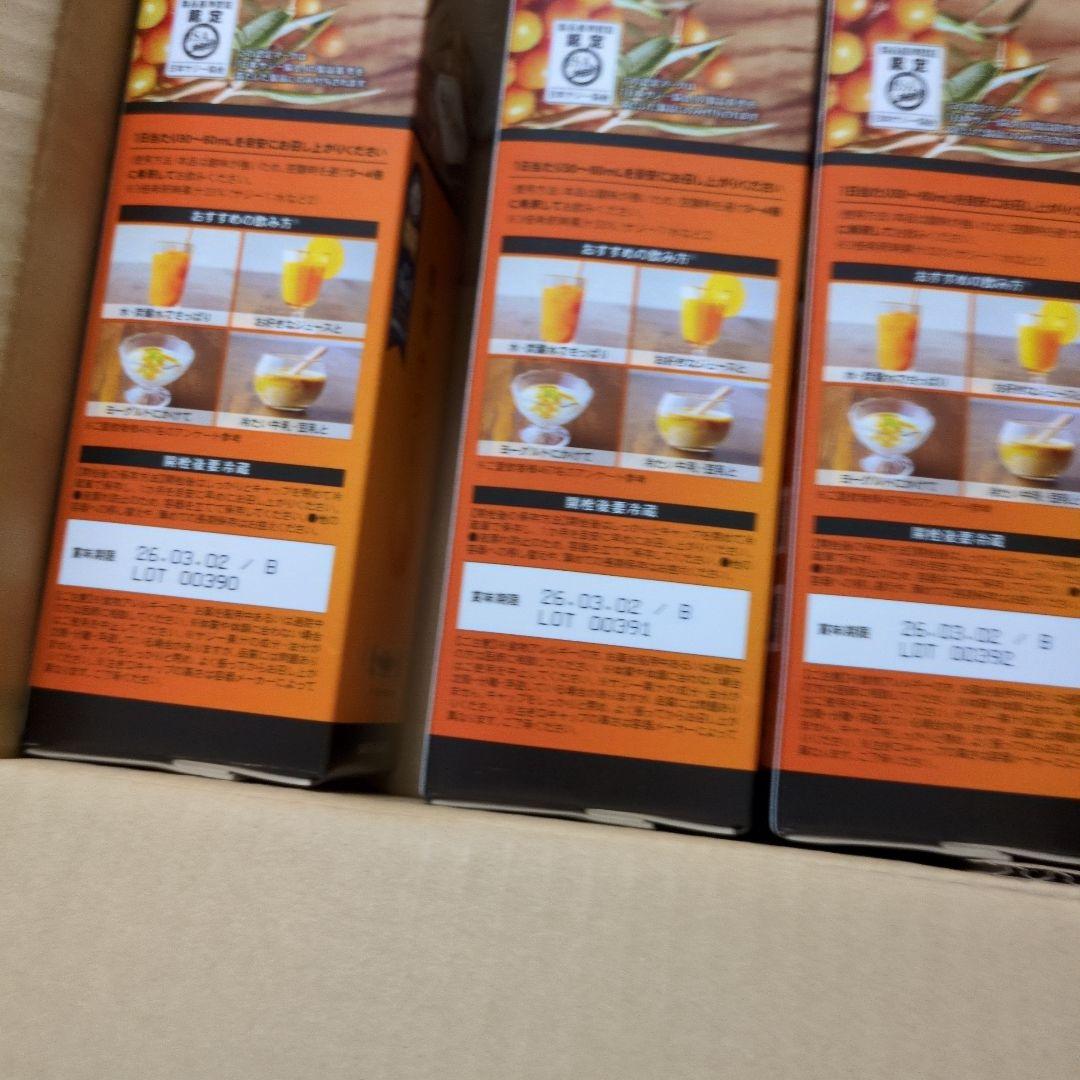 【3本セット】新品未開封　フィネス 豊潤サジー　1000ml 乳酸菌のサプリ付