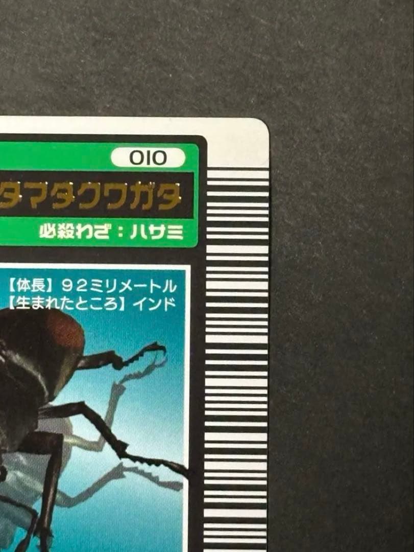 【ムシキング】2003春 ロングバーコード セアカフタマタクワガタ 010