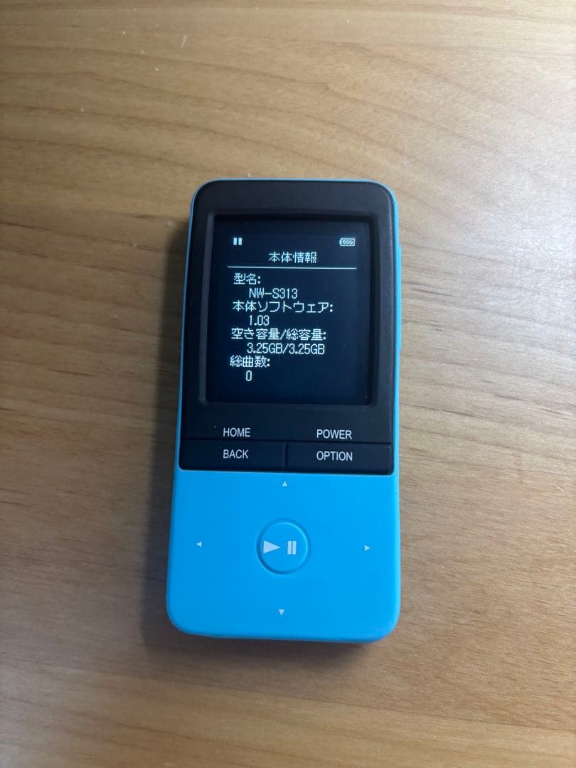 SONY ウォークマンNW-S313【カバー、説明書、ケーブル】動作確認済み