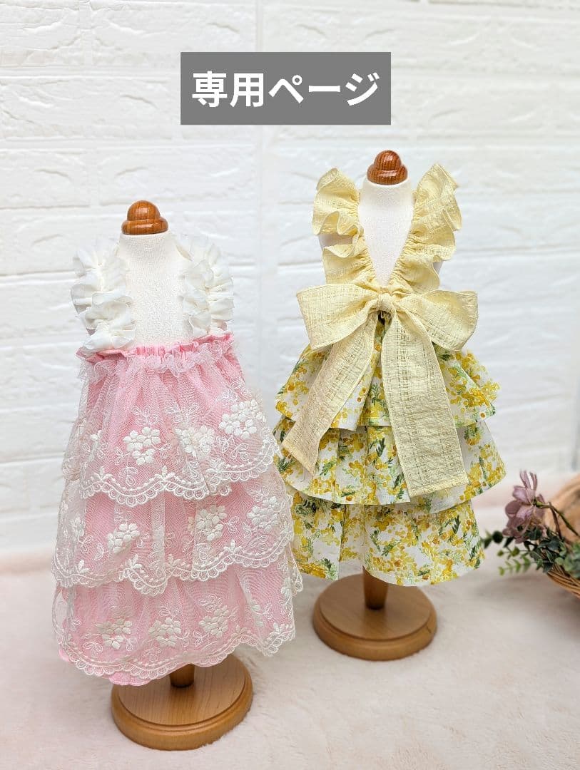 専用ページ