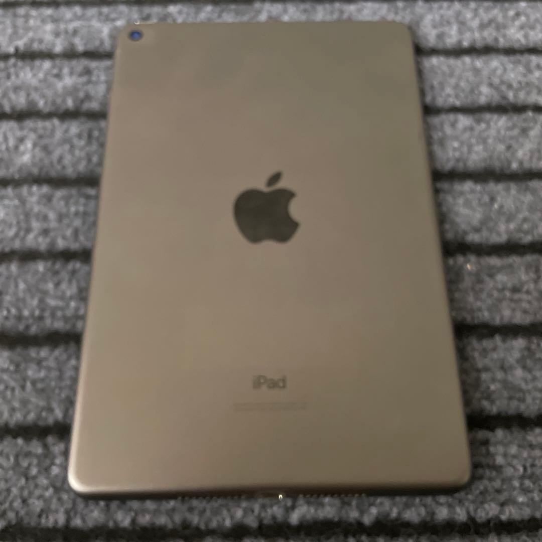 55【早い者勝ち】 iPad mini5 5世代 256GB スペースグレイ