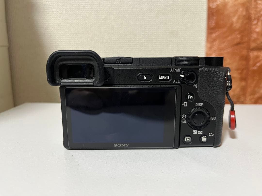 SONY α ミラーレス一眼カメラ