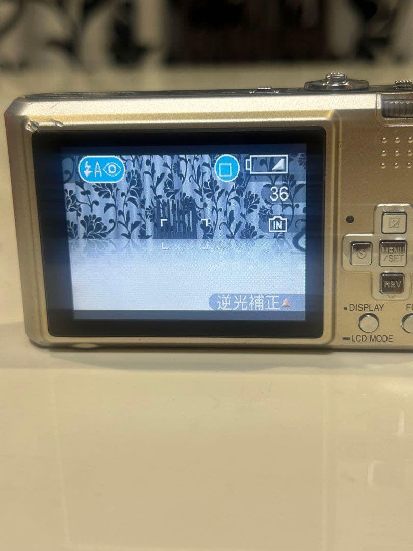 LUMIX DMC-FX100 12メガピクセル
