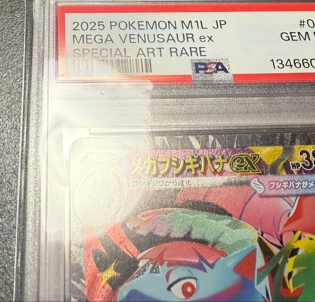 ス*認様 メガフシギバナex sar PSA10（レリーフズレ）
