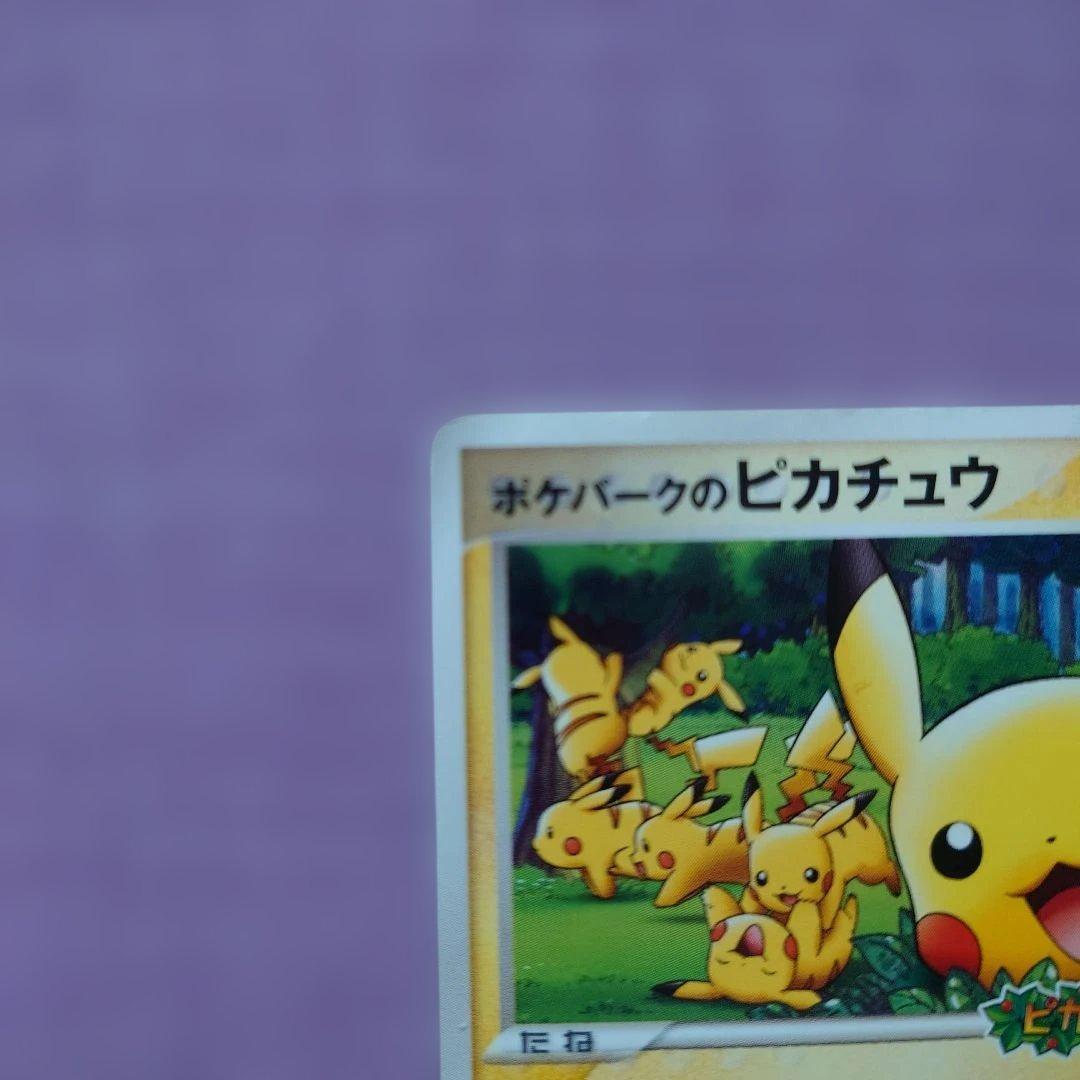 ポケパーク　ポケモンカード　13枚セット