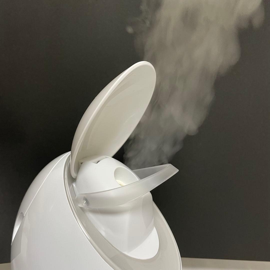 【美品】パナソニック　スチーマー　おまけ付き