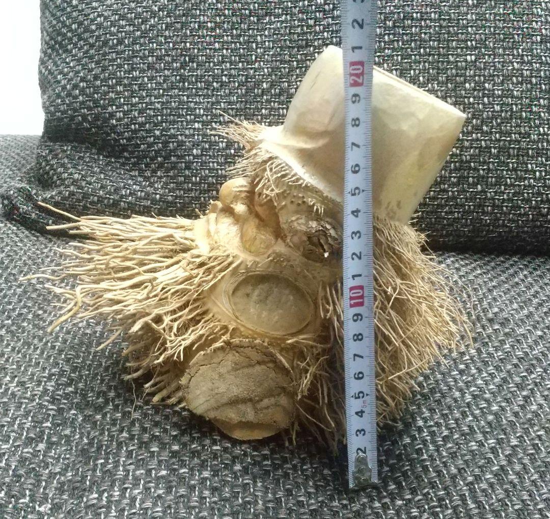 希少 一点もの 竹根 彫刻 美術 工芸品 置物