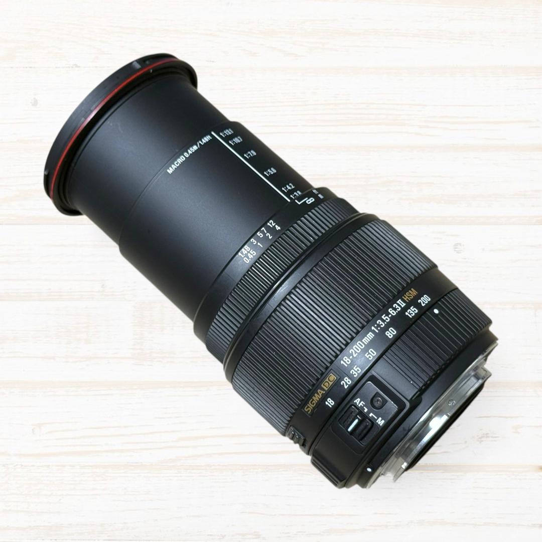 SIGMA ズームレンズ 18-200mm Ⅱ DC HSM SONY #165