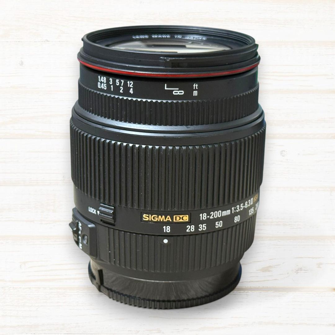SIGMA ズームレンズ 18-200mm Ⅱ DC HSM SONY #165