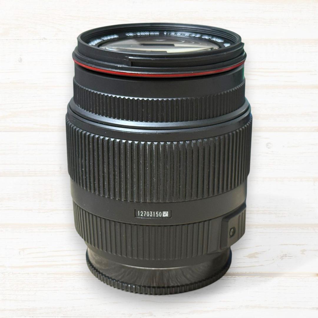SIGMA ズームレンズ 18-200mm Ⅱ DC HSM SONY #165