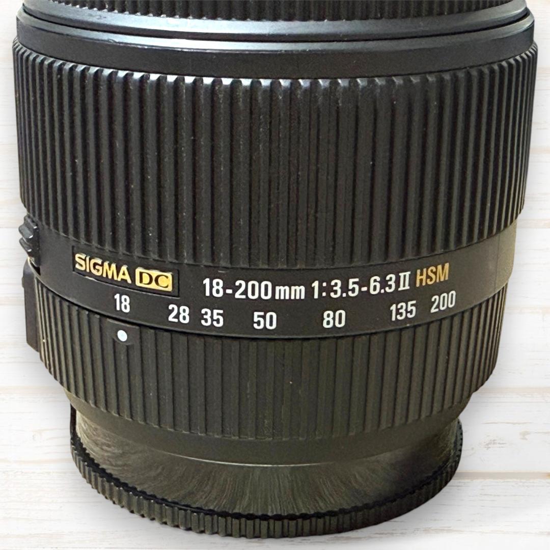 SIGMA ズームレンズ 18-200mm Ⅱ DC HSM SONY #165