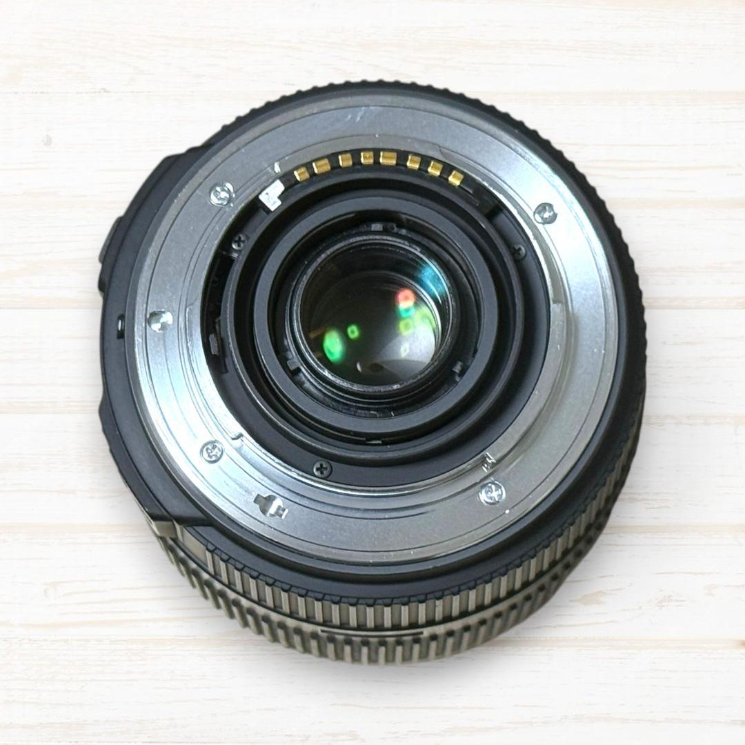 SIGMA ズームレンズ 18-200mm Ⅱ DC HSM SONY #165