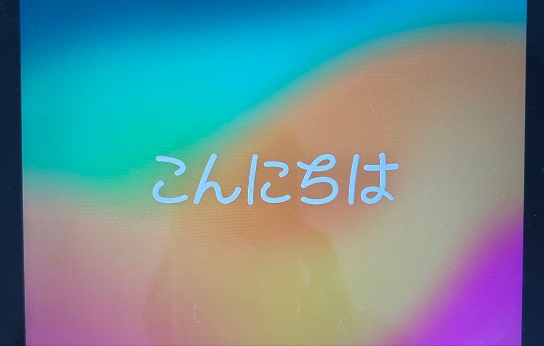 Apple iPad （第6世代）初期化済