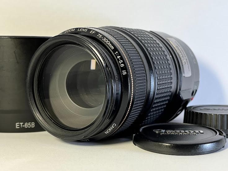 ★美品★ キヤノン EF 75-300mm F4-5.6 IS USM
