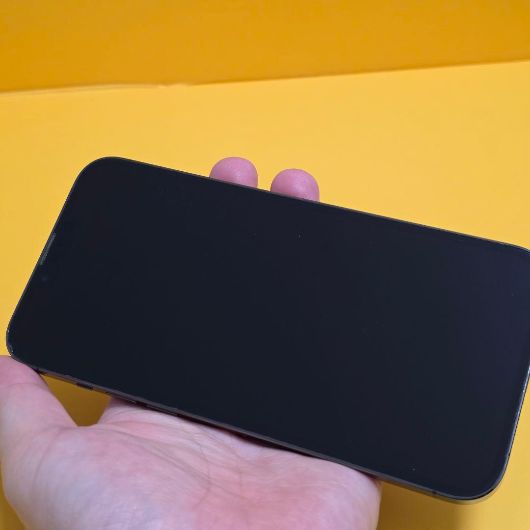iPhone 13 ProMax 256GB｜24時間以内発送#951