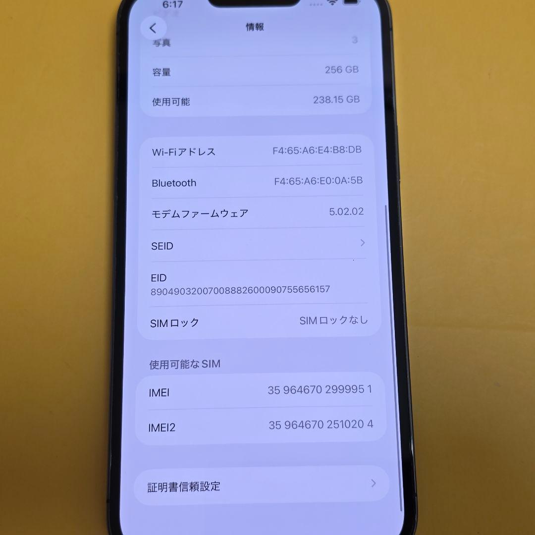iPhone 13 ProMax 256GB｜24時間以内発送#951