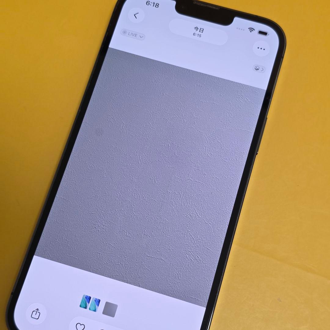 iPhone 13 ProMax 256GB｜24時間以内発送#951