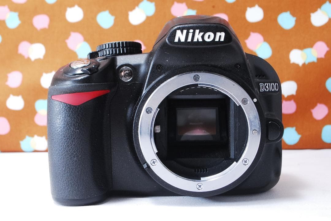 ✨初心者オススメ✨美品✨Nikon D3100 レンズセット