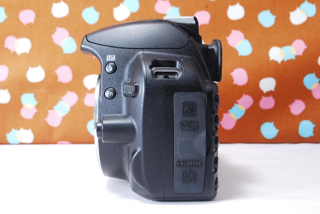 ✨初心者オススメ✨美品✨Nikon D3100 レンズセット
