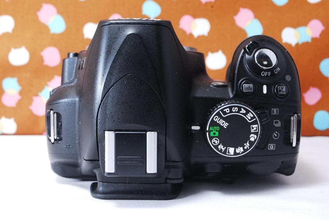 ✨初心者オススメ✨美品✨Nikon D3100 レンズセット