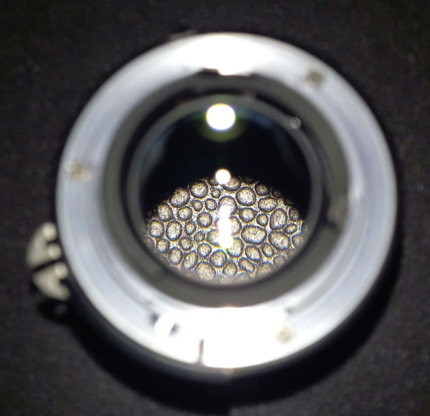 Nikon 一眼レフ FM2/T レンズ フィルター付き